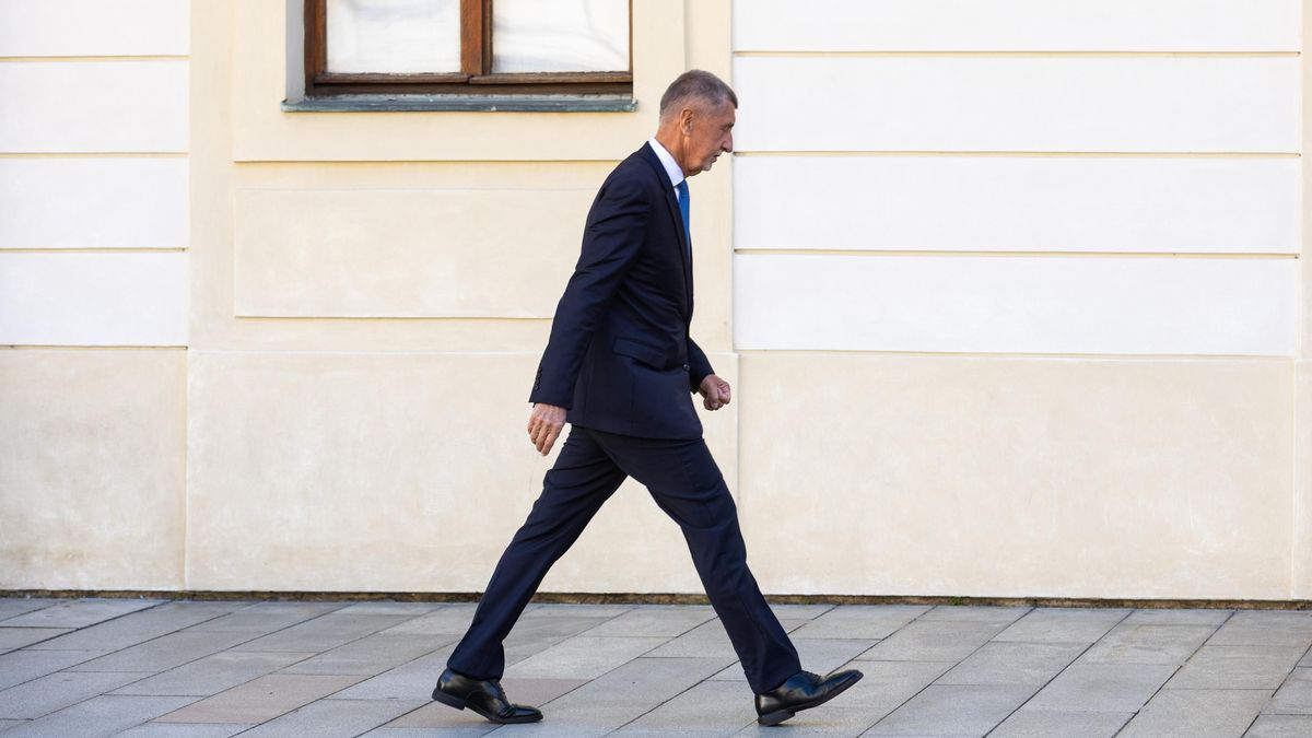 Babiš je znovu jediným vlastníkem Agrofertu, převzal zbylou desetinu akcií